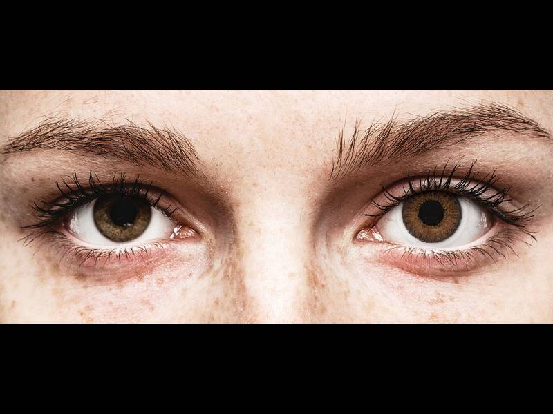 TopVue Color daily - Brown - sem correção (10 lentes)
