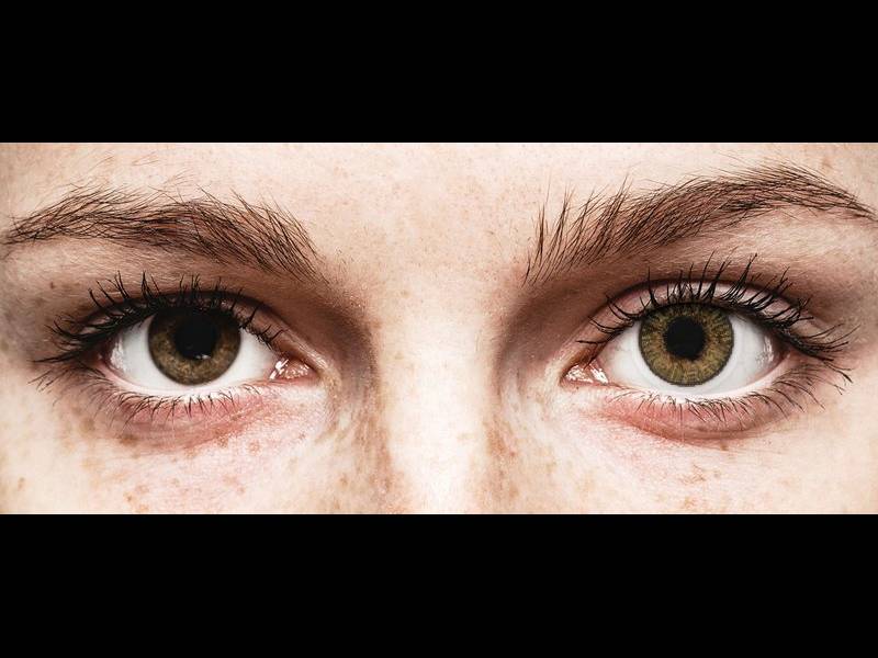 FreshLook ColorBlends Pure Hazel - sem correção (2 lentes)