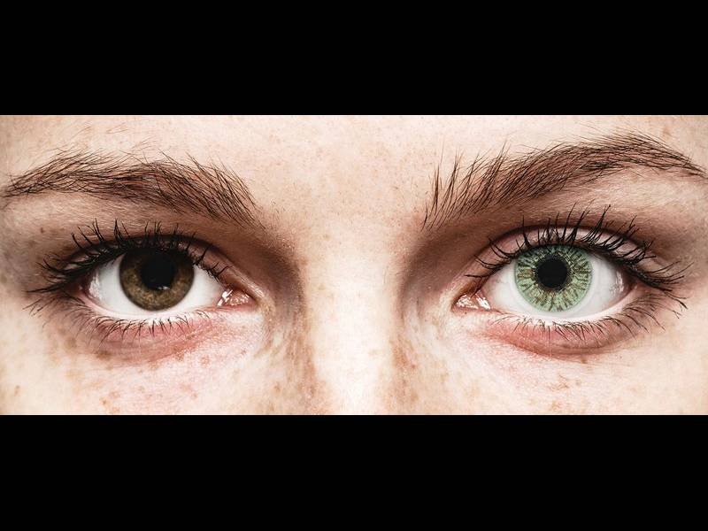 FreshLook Colors Green - sem correção (2 lentes)