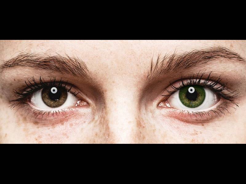FreshLook Dimensions Sea Green - com correção (6 lentes)
